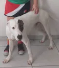 Frederico 