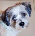 Léo