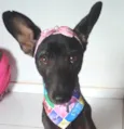 Rubi