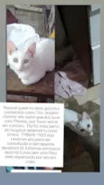Tita