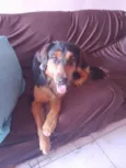Spike