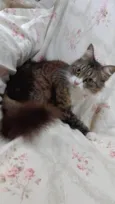 Larissa