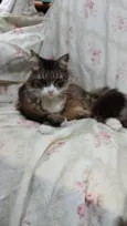 Larissa