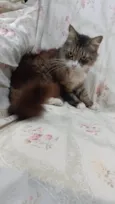 Larissa