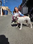 Apolo
