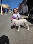Apolo