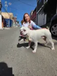 Apolo