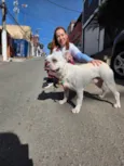 Apolo