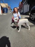 Apolo