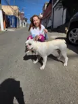 Apolo