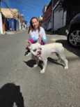 Apolo