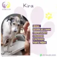 Kira