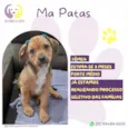 Ma Patas