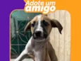 Doro