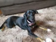 Nina