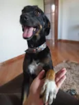 Nina