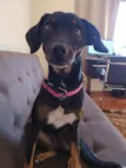 Nina