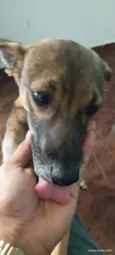 Magrinha