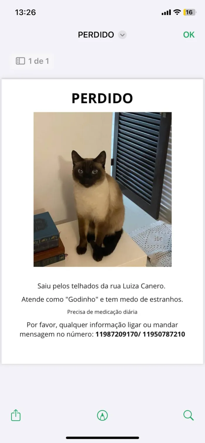 Gato ra a SRD-ViraLata idade 3 anos nome Godinho