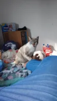 Mimi