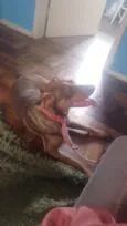 Kira