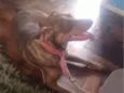 Kira