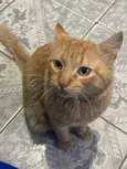 Mimi