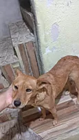 Ruth