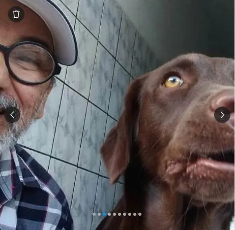 Cachorro ra a Labrador idade 7 a 11 meses nome ANITA