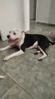 Peça