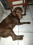 ANITA