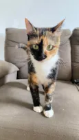 Chloe