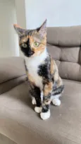 Chloe
