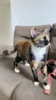 Chloe