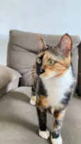 Chloe