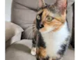 Chloe