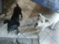 Luke e amora
