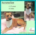 Karamellow