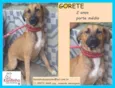 Gorete