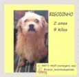 Bigodinho