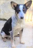 Kiko