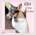 Kika