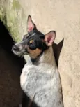 Kika