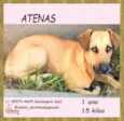 Atenas