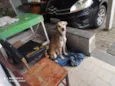 Fred