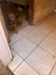 Nina e téo
