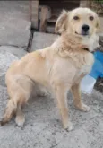 Meg