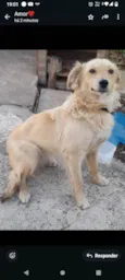 Meg
