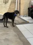 Lúcio