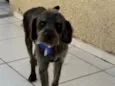Lúcio